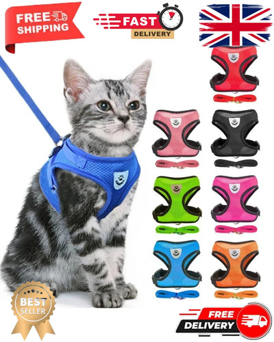 Haustier katze geschirr weste - katze,