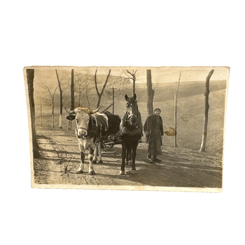 Ansichtskarte postkarte wagen - ansichtskarte,