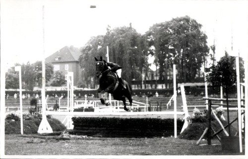 Foto springreiten sprung - foto, springreiten,