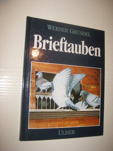 Brieftauben von werner - von,