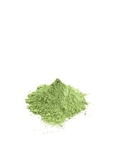 Modellgips 9 Kg - GRÜN -