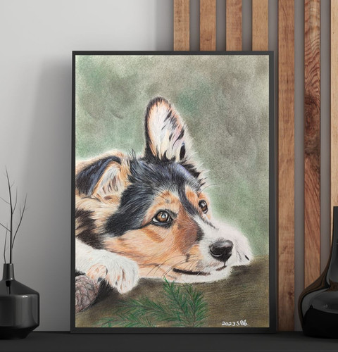Hunde buntstiftzeichnung - hunde,