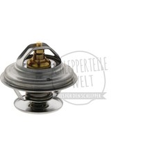 Thermostat passend für
