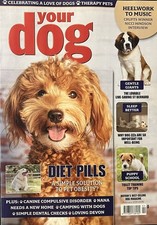 YOUR DOG MAGAZINE ISSUE