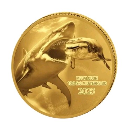 Prehistoric life megalodon 5 - prehistoric,