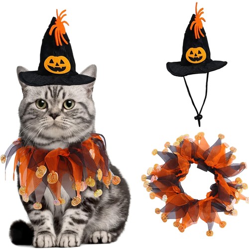 Hund katze halloween hut - hund,