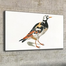 Canvas wandbild leinwand - canvas,