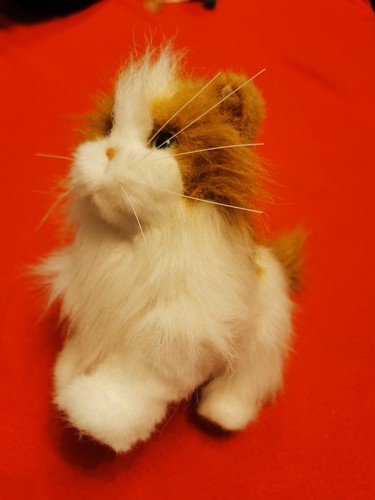 Furreal friends katze - furreal,