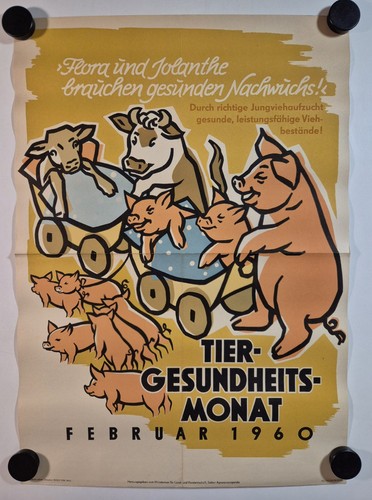 Plakat tiergesundheit flora - tiergesundheit,