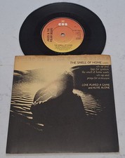 Jules And The Polar Bears  The