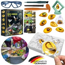 Bernstein Ausgrabungsset für Kinder ab 6 7 8 9 10 11 12 Jahren Künstliche Insekt