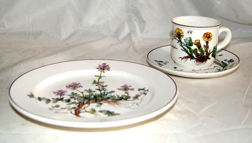 Villeroy und boch botanica - und,