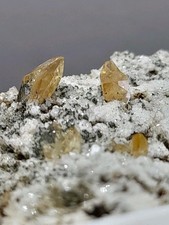 Titanit Sphen XX, Periklin XX