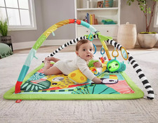 Fisher-Price 3-in-1 Rainforest