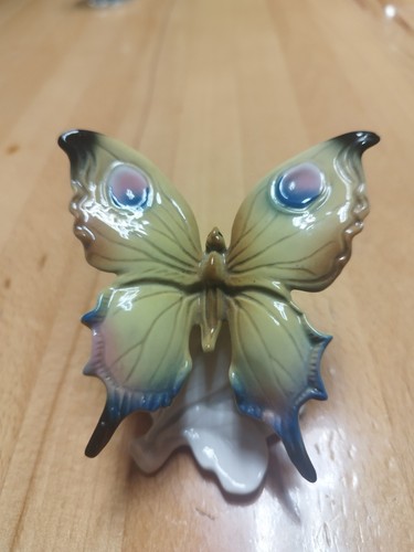 Rarer schmetterling ens - schmetterling,,