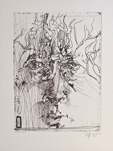 Horst janssen radierung titel - horst,