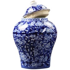  Keramik-Ingwertopf Für Die