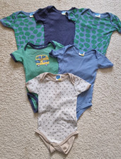 6 Kurzarmbodys in Größe 86 / 92