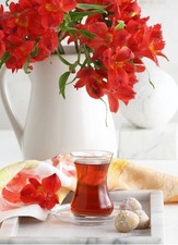 Lav Teegläser türkische