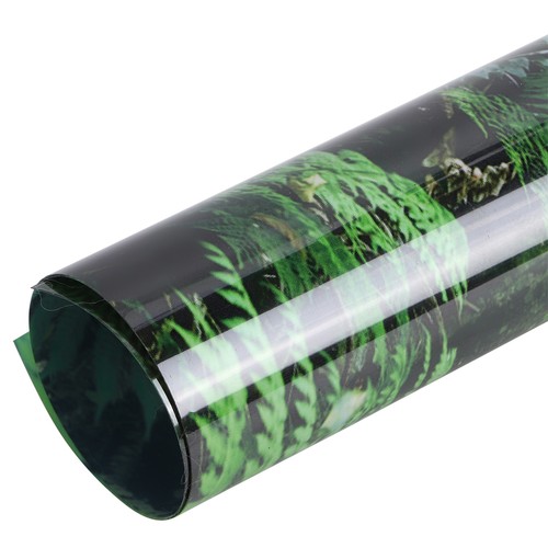 Reptilienbox regenwald - reptilienbox,