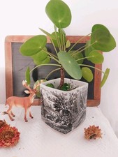 Villeroy & Boch ARTEMIS