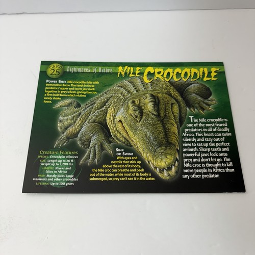 Weird wild creatures - wild,