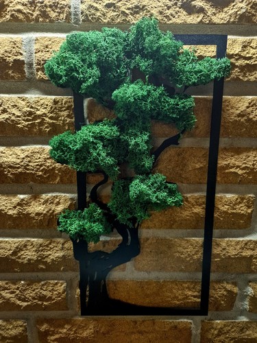Moosbild baum - moosbild,