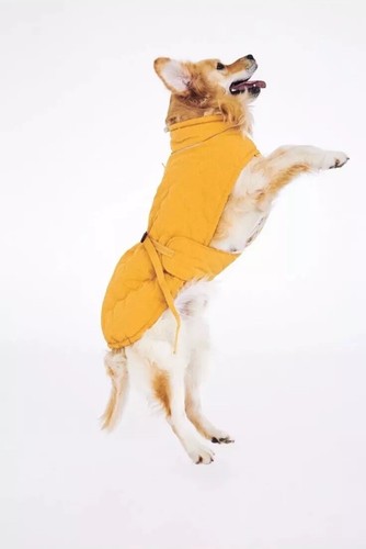 Zara hundemantel für kleine - hundemantel,