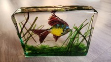 Glas aquarium gino cenedese - aquarium,