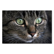 Postereck 2358 Poster Leinwand