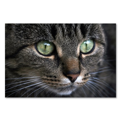 Postereck 2358 poster leinwand - 2358,