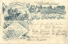 Gruss vom Dümmer See -