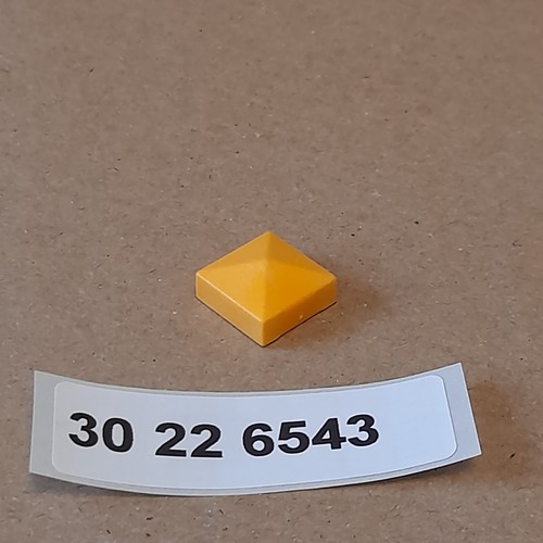 30226543 aus 5567 playmobil - 30226543,