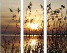 Glasbild Setting Sun 3er-Set