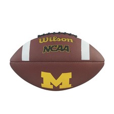 Michigan Wolverines NCAA