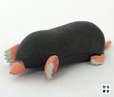Schokoladenei japanische - schokoladenei,
