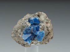 Hauyn, Laacher See, Eifel