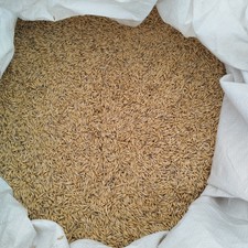 Futterhafer 25kg Tierfutter