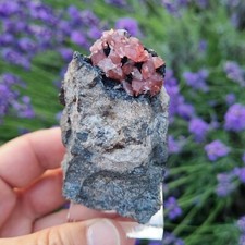 🔥Video 😍Top schöne