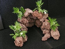 Aquarium Deko. Terrarium Deko