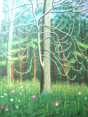 David hockney lithographie - david,