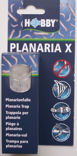 Aquarium planarienfalle - planarienfalle, x