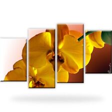 XXL Orchidee Blume Bild Leinwand mit Keilrahmen. Bilder