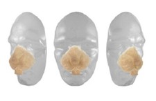 Grimas Latex Nasen und Sets