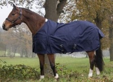 HKM Vancouver Style 1200D