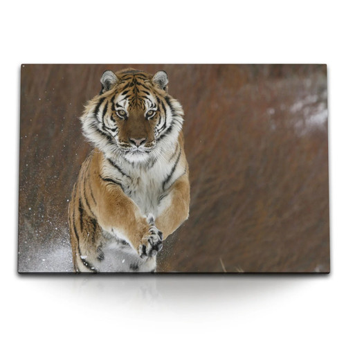 120x80cm wandbild auf - auf, leinwand