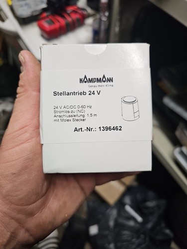 Kampmann