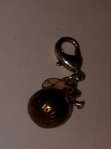 Charm anhänger mit - anhänger, karabiner