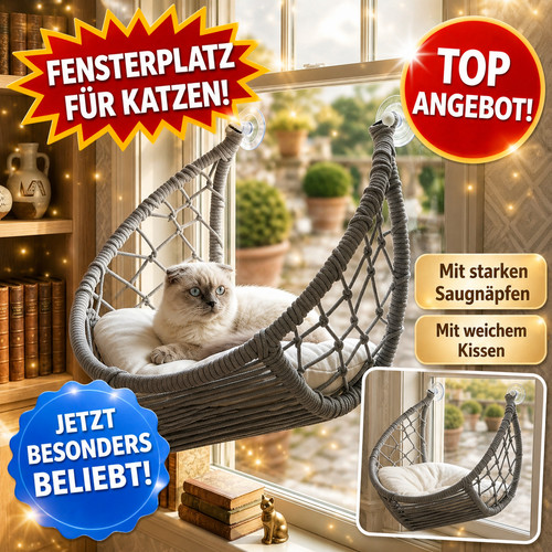 Katzen fensterliege mit - katzen,
