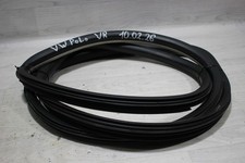 Türdichtung vorne rechts VW